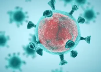 سلاح جديد لتدريب الخلايا المناعية على محاربة الفيروسات المتحورة