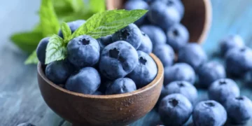 التوت الأزرق.. فوائد صحية مذهلة لصحة القلب والدماغ وتحسين الذاكرة
