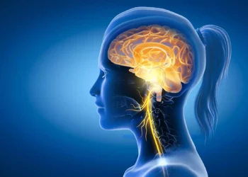 العصب المبهم