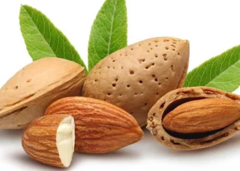 25 حبة يوميا تكفي.. هذا ما يفعله اللوز بالقلب والدماغ