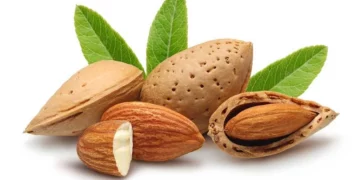 25 حبة يوميا تكفي.. هذا ما يفعله اللوز بالقلب والدماغ