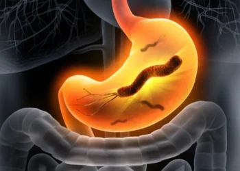 جرثومة المعدة