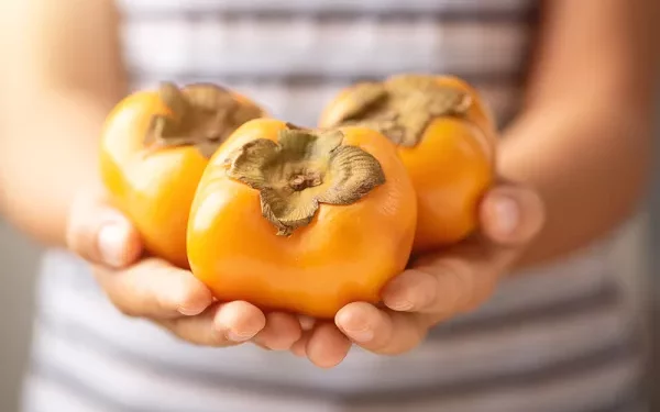 تحميك من الأمراض المزمنة.. ماذا يحدث لجسمك عند تناول الكاكا؟ 1 فوائد الكاكا