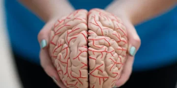 شيخوخة الدماغ