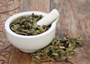 عشبة الزاز للشعر