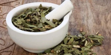 عشبة الزاز للشعر