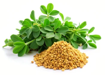 طريقة استعمال عشبة الحباسة