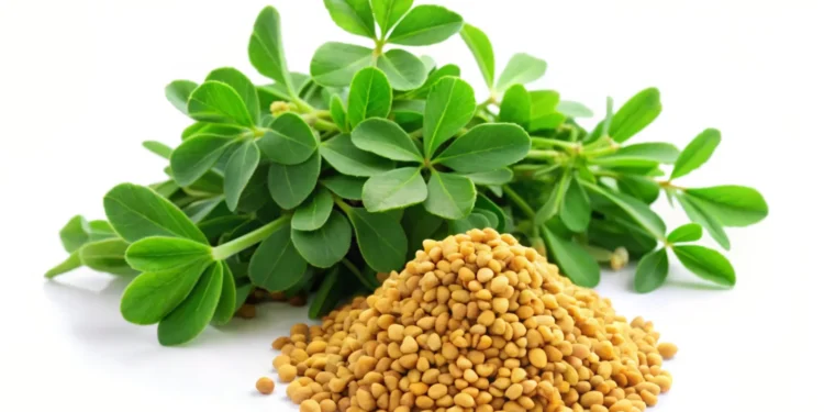 طريقة استعمال عشبة الحباسة.. 4 استخدامات مذهلة ستذهلك بفوائدها 1 طريقة استعمال عشبة الحباسة