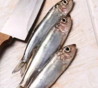 ما هي فوائد السردين للرجال؟ اسرار غذائية مليئة بالفوائد