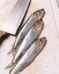 ما هي فوائد السردين للرجال؟ اسرار غذائية مليئة بالفوائد