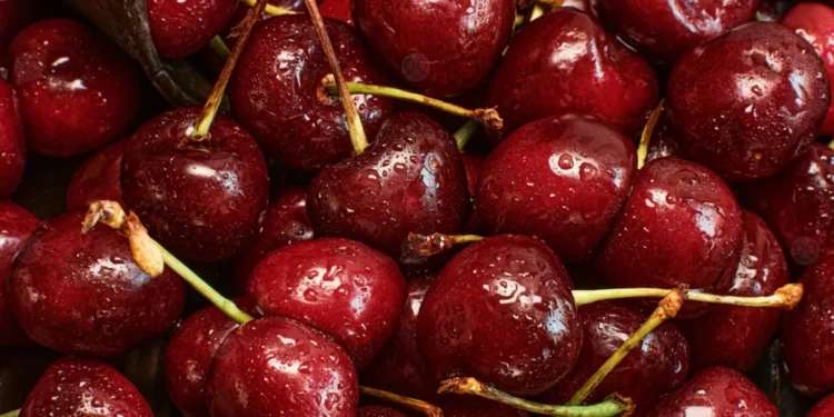 الكرز الأحمر.. كنز غذائي يعزز صحة القلب ونضارة البشرة 1 الكرز الأحمر